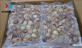 Brown Clam - Vacuum Bag 1kg